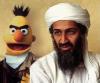 Bert is Evil